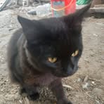 Profile Picture of Edwin Rigos (@edwin.rigos.9) on Facebook