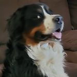 Profile Picture of Jeffrey Brust (@gildarts88) on Instagram