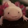 Profile Picture of kyleandrus969 (@kyleandrus969) on Tiktok