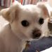 Profile Picture of Amanda Cavanagh (@amanda.cavanagh.581) on Facebook