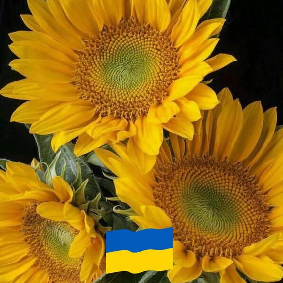 Profile Picture of Tamara Mutchler-walsh (@mutchler_2000) on Poshmark