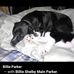 Profile Picture of Billie Shelby Main Parker (@shelby.main.75) on Facebook