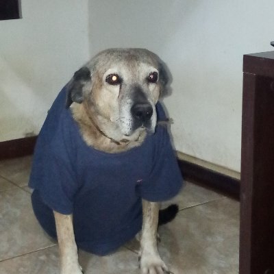 Profile Picture of ROBERTA HADDOCK LOBO (@RobertaHaddock) on Twitter