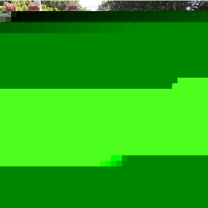 Profile Picture of Blake Werner (@436512307) on Myspace