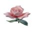 Profile Picture of Jacqueline Duquette (@jacqueline.duquette.7) on Facebook