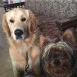 Profile Picture of Honey and Jerry (@honey_and_jerry) on Instagram