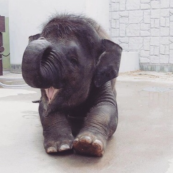 Jenna Ramos - Poshmark Profile Picture of Jenna Ramos (@jennajaneramos3) on Poshmark