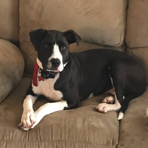 Profile Picture of Jacki spohn Prettyman (@jackiprettyman) on Poshmark