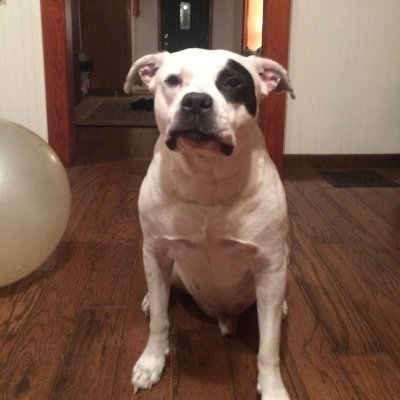 Profile Picture of Rusty Bridges (@Rustybridges15) on Twitter