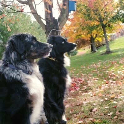 Profile Picture of Scott Bodnar (@ScottBodnar2) on Twitter