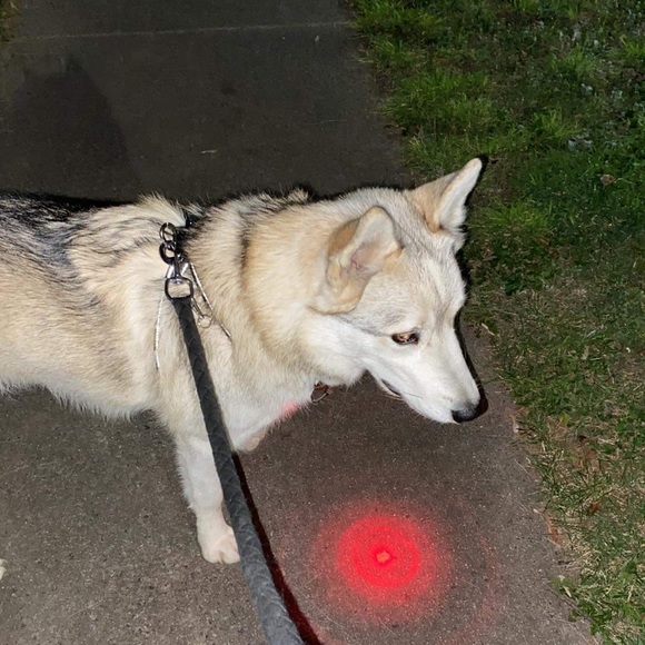 Profile Picture of Phoebe Hughes (@phoebelu99) on Poshmark