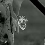 Profile Picture of Albert Rubén (@Albert-Rubén) on Facebook