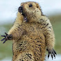 Profile Picture of Stuart Parsons (@stuartparsons2087) on Tiktok