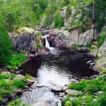 Profile Picture of Clint Robbins (@crobbijr) on Instagram