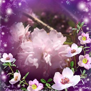 Profile Picture of Caroline Cates (@caroline.cates.12) on Facebook
