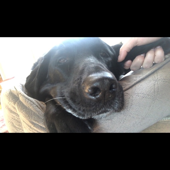 Profile Picture of Cchloe Griffin (@cgloegriffi) on Poshmark