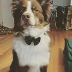 Profile Picture of Jared (@jnuss71) on Instagram