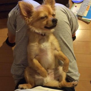 Profile Picture of Iori Takata (@iori.takata) on Facebook