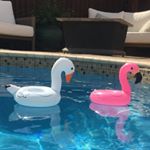 Profile Picture of Miguel&Sylvia (@miguel_and_sylvia) on Instagram