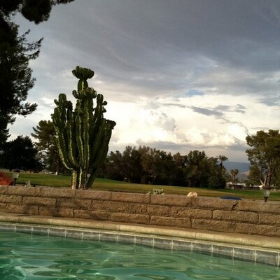 Profile Picture of Bobbi Rich (@BobbiRich) on Twitter
