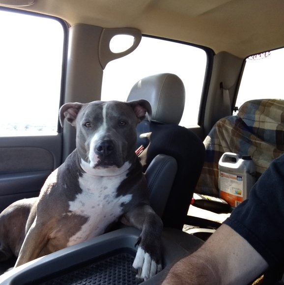 Thane Burtch - Poshmark Profile Picture of Thane Burtch (@trburtch) on Poshmark