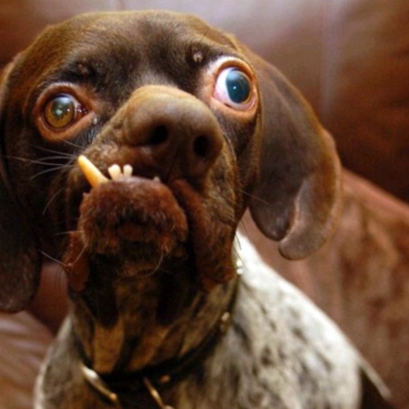 Profile Picture of Jon Notley (@jknot808) on Poshmark