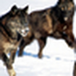 Profile Picture of Luis Arel (@luis arel) on Flickr