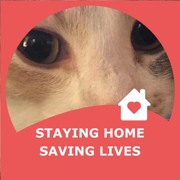 Profile Picture of Andrea Matthews (@anfree37) on Poshmark