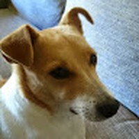 Profile Picture of Michael Battersby (@michael-battersby-11) on Quora