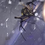 Profile Picture of Evander Matthews (@evander.matthews.9) on Facebook