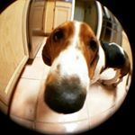 Profile Picture of Chris Vestal (@cvestal236) on Instagram