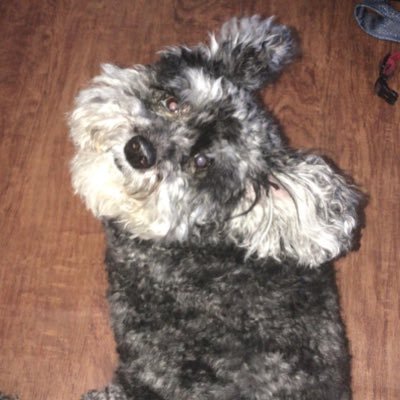 Profile Picture of Brian Brinkerhoff (@BrianBrinkerho1) on Twitter
