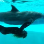 Profile Picture of Maria Paulson (@madamepaulson) on Instagram