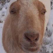 Profile Picture of Lorraine Kay (@lorraine_kay) on Myspace