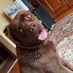 Profile Picture of Bartoș Richard (@bartosrici) on Instagram
