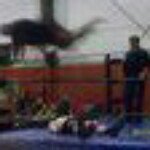 brianlanham27 - Instagram Profile Picture of brianlanham27 (@brianlanham27) on Instagram