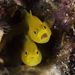 Profile Picture of Richard Poisson (@poisson3402) on Pinterest
