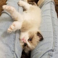 Jessica Weich - Quora Profile Picture of Jessica Weich (@jessica-weich) on Quora