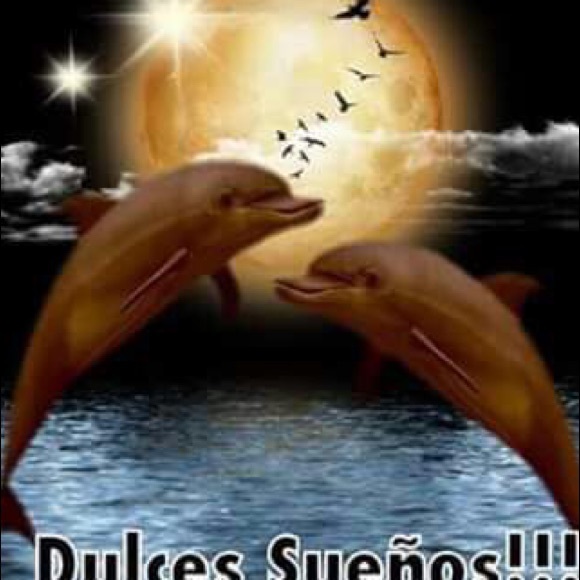 Profile Picture of Daniela Arce (@arcedaniela) on Poshmark