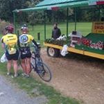 Profile Picture of Steve McCready (@mccready.steve) on Instagram
