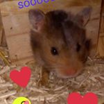 Profile Picture of Julia Siegl (@juliasiegl2232) on Instagram