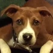 Profile Picture of Darrell Lane (@Khaphiri) on Youtube