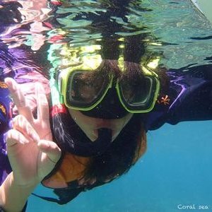 Profile Picture of Hsin Feng (@HsinFeng_) on Twitter