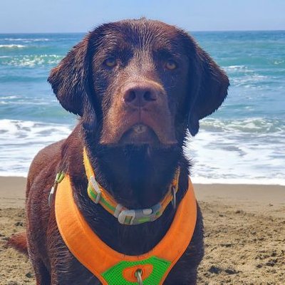 Profile Picture of Jess Lack (@LackJess) on Twitter