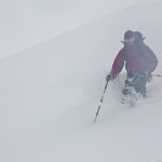 Bob Werner - Instagram Profile Picture of Bob Werner (@bobjaywerner) on Instagram