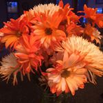 Profile Picture of Dayna Cooper Paine (@ladypaine77) on Instagram