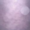 Profile Picture of William Probst (@william.probst1) on Tiktok