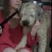 Profile Picture of Robin Lampert (@lampert0541) on Pinterest