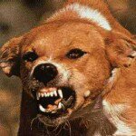 john mokate - Instagram Profile Picture of john mokate (@familyvacation) on Instagram