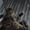 Profile Picture of Joanne Vickers (@@joannevickers3) on Tiktok